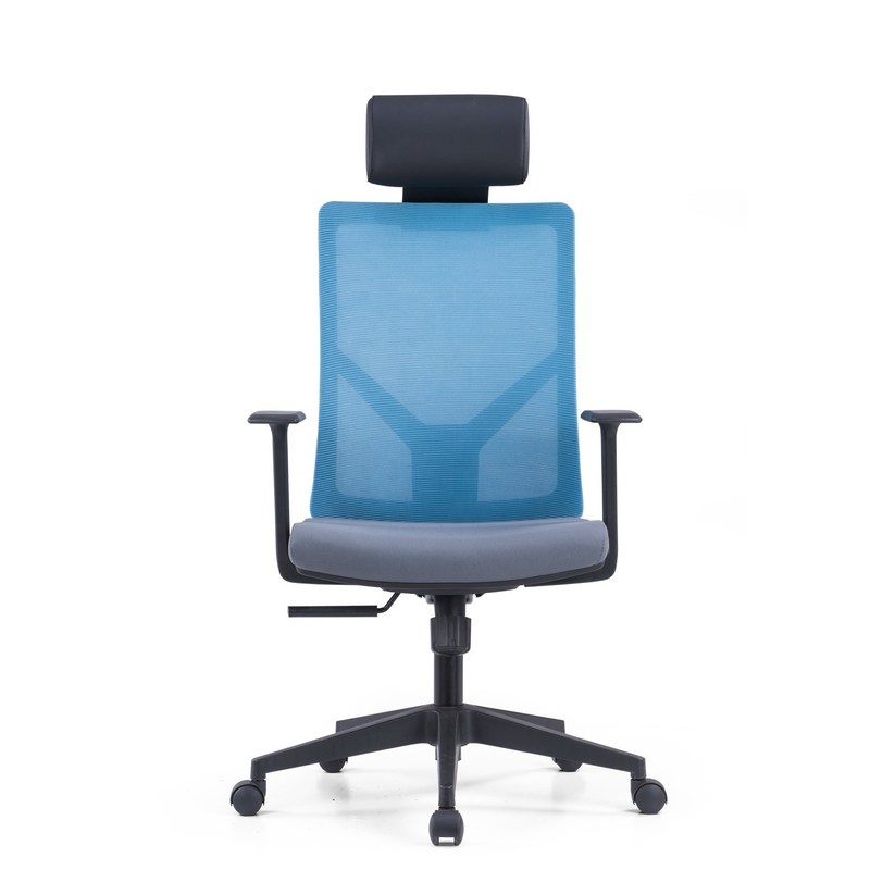 Office Manager's Choice Adjustable High Back Executive Office Chair with Lumbar Support