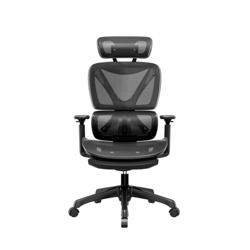 back Full Mesh Office Executive Chair with 73*77*117-126.5cm Size and Ergonomic Design